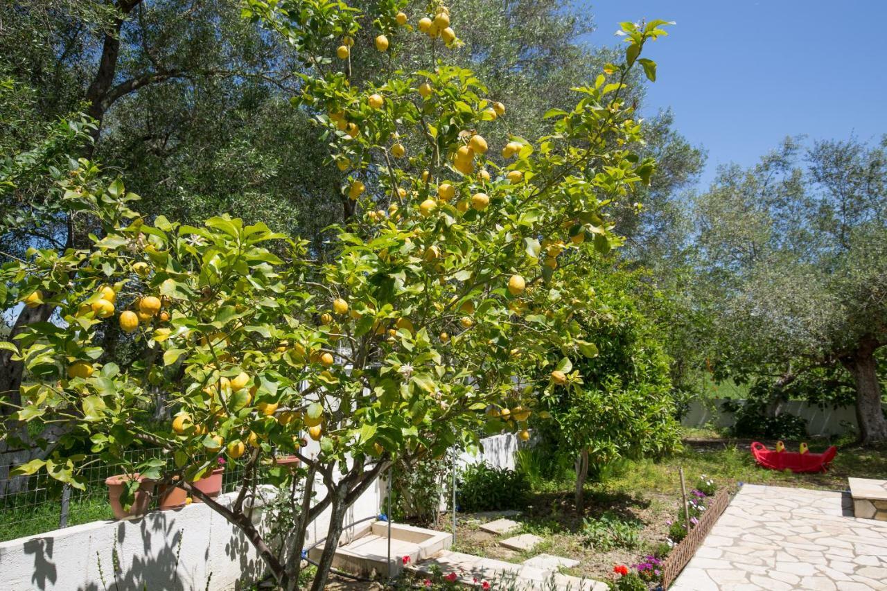 Kariá Holiday Home Lefkimmi  Dış mekan fotoğraf
